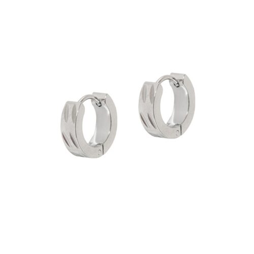 Silver Raven Hoops