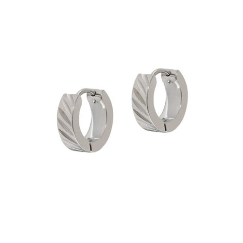 Silver Roux Hoops